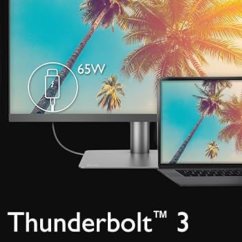 Amazon.com: BenQ PD2720U DesignVue 27 inch 4K HDR IPS Monitor