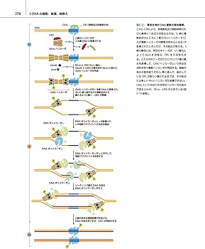 細胞の分子生物学 原書第7版 | 中村桂子, 水島昇, 塩見春彦, 三浦正幸