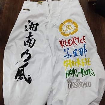 Amazon.co.jp: 湘南乃風 刺繍 ニッカ 参戦服 : おもちゃ