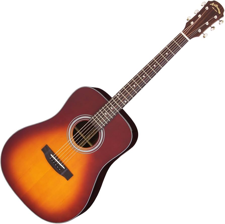 Amazon.co.jp: ARIA アリア アコースティックギター ソフトケース付 AD