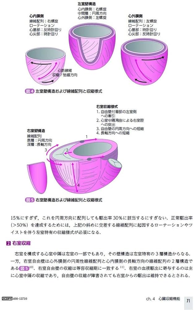 Amazon.co.jp: TEE試験対策ガイド ―JB-POT・心エコー図専門医試験徹底