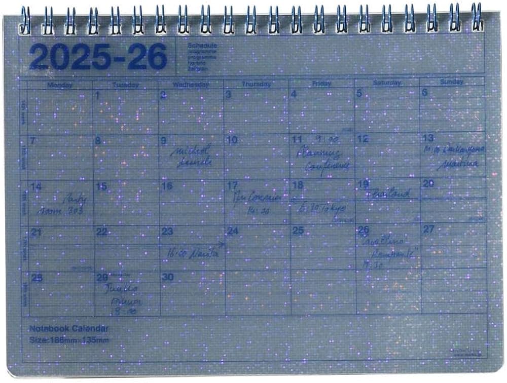 Amazon.co.jp: 手帳 2025 スケジュール帳 2025年4月始まり 月間