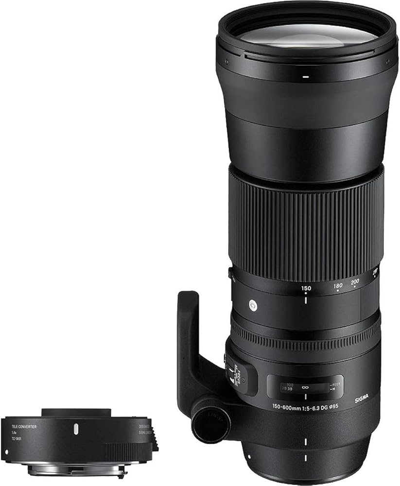 Amazon.com : Sigma 150-600mm F5-6.3 Contemporary DG OS HSM & TC