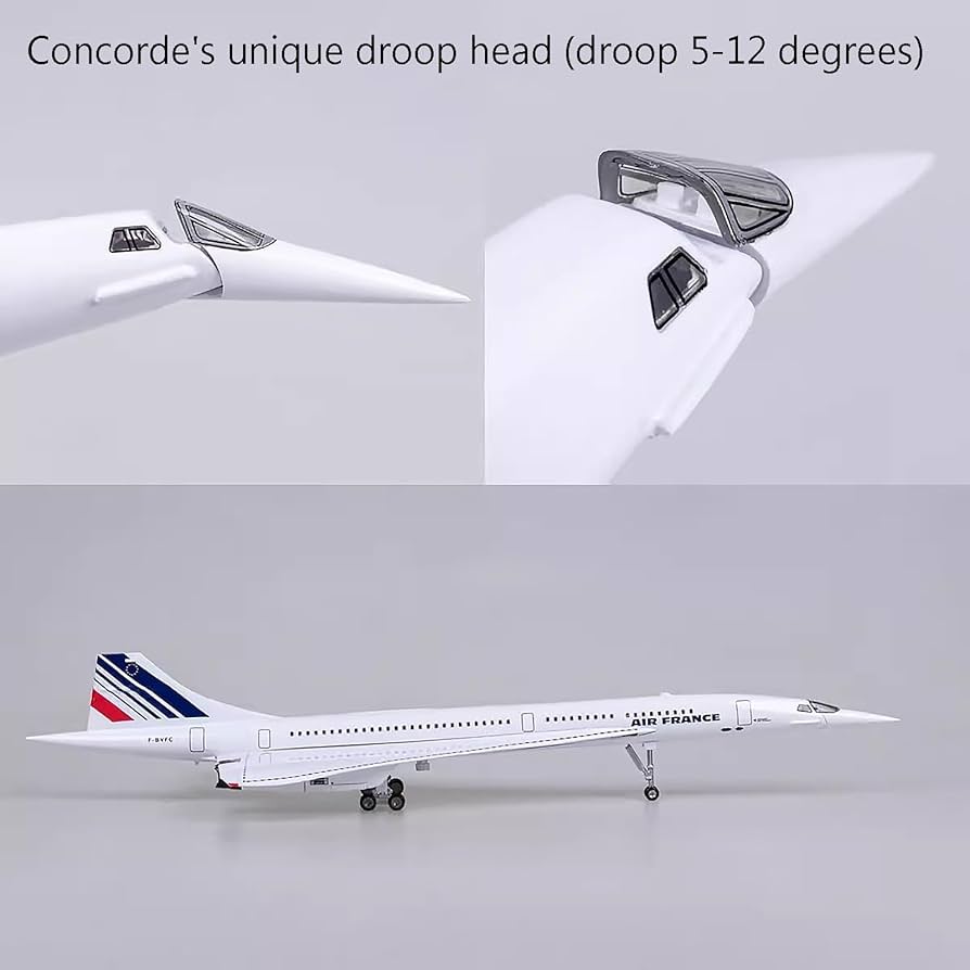Amazon.co.jp: コンコルド 1:125 スケール 19.7 インチ 模擬完成品