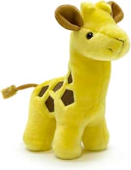 61zFIy2shNL._AC_UF350,