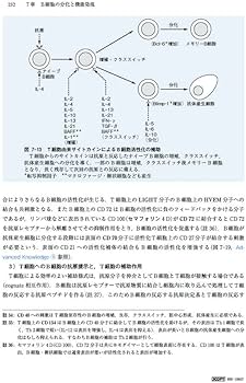医系免疫学 改訂16版 | 矢田 純一 |本 | 通販 | Amazon