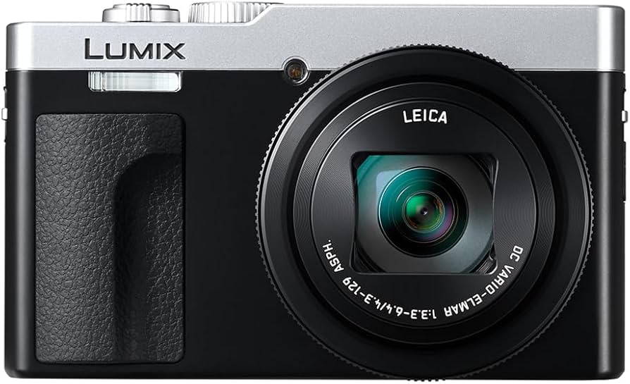 Amazon.com : Panasonic LUMIX ZS99 Point and Shoot Camera, Compact