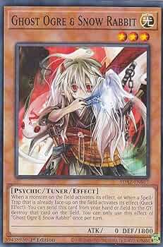 61BlHrQoVhL._AC_UF350,