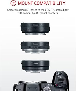 Amazon | Canon (キャノン) ミラーレス一眼カメラ EOS R7 ボディ