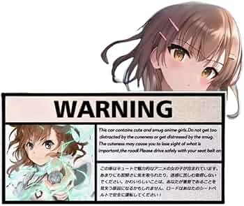 Amazon.co.jp: とある科学の超電磁砲 車ステッカー 反射ステッカー