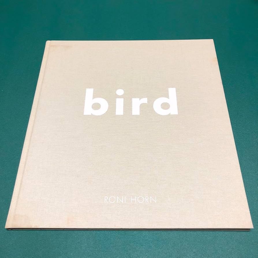 Amazon.co.jp: 本bird by RONI HORN ロニ ホーン作品集 : おもちゃ