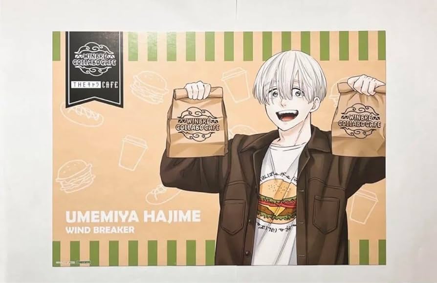 Amazon.co.jp: ウィンブレ WIND BREAKER ウィンドブレーカー 梅宮一