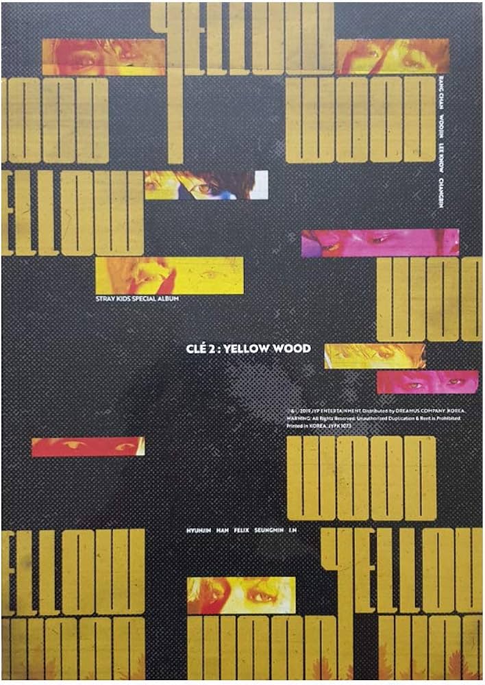 Amazon.com: STRAY KIDS Special Album - CLE 2 : Yellow Wood