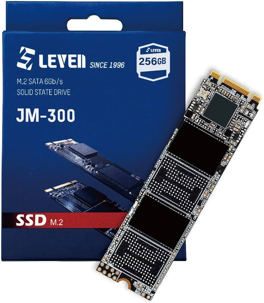 Amazon.com: LEVEN JM600 M.2 SSD 256GB 3D NAND SATA III 6 Gb/s, M.2