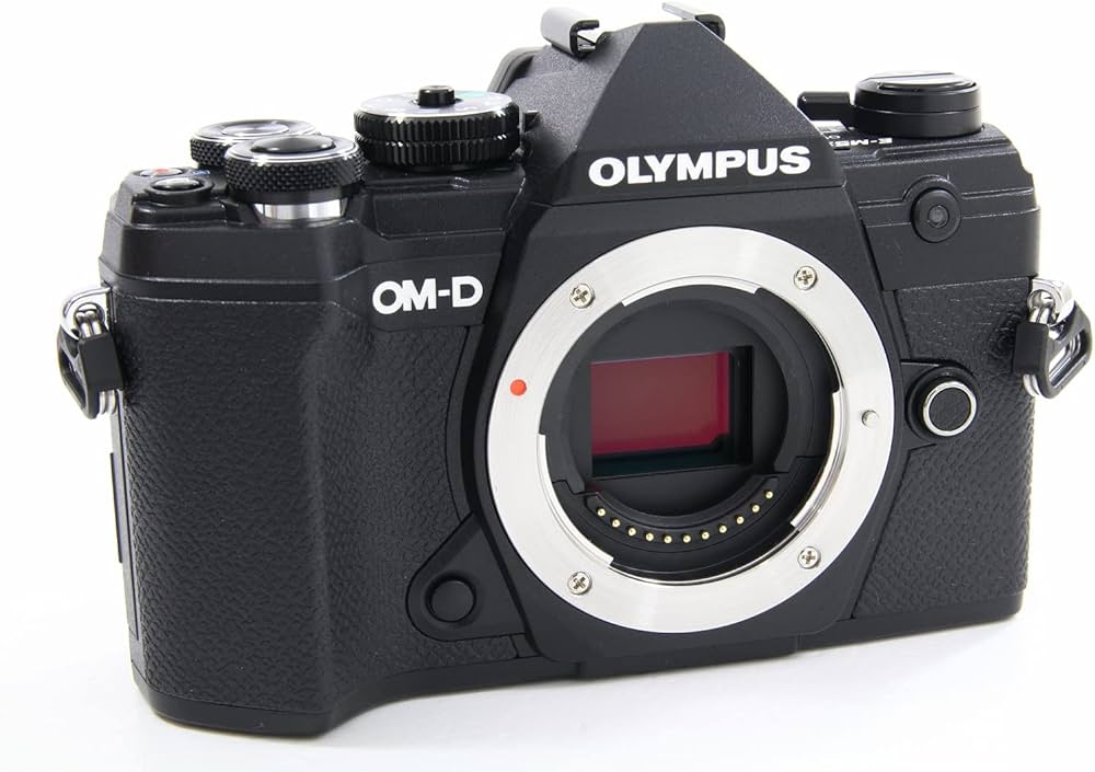 Buy Olympus OMD-EM-1-Mark-III Mirrorless Digital Camera Body Black