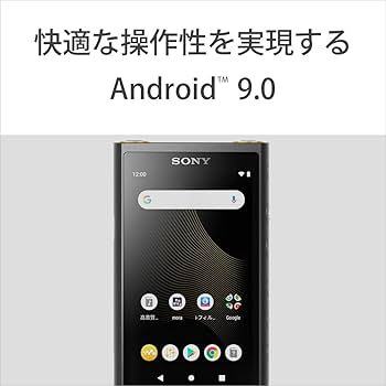 Amazon.co.jp: ソニー ウォークマン 64GB ZXシリーズ NW-ZX507