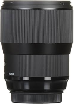 Amazon.co.jp: シグマ(Sigma) SIGMA シグマ Canon EFマウント レンズ