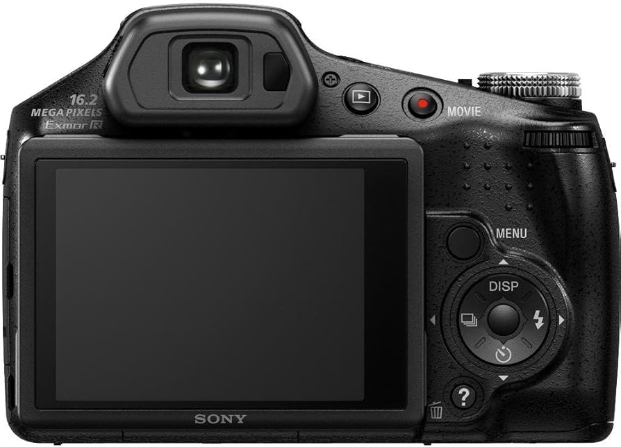 Amazon.com : Sony Cyber-Shot DSC-HX100V 16.2 MP Exmor R CMOS