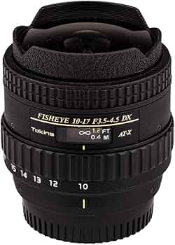 61GN7vaTpSL._AC_UF350,