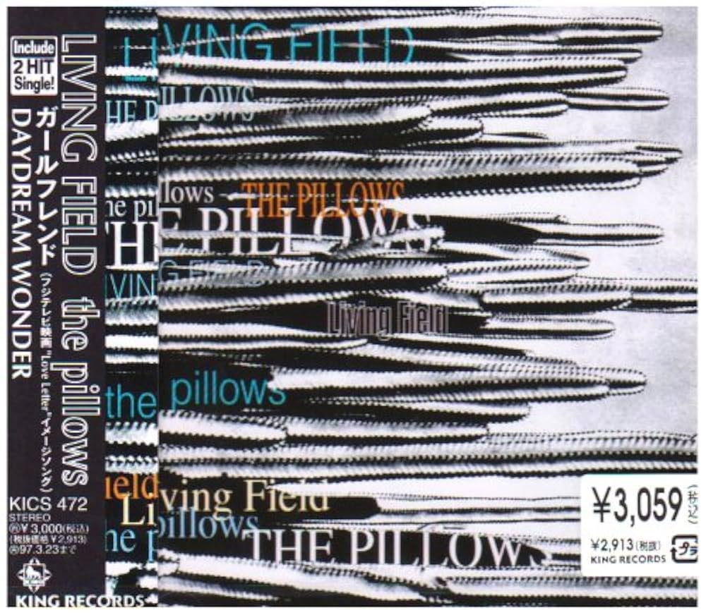 PILLOWS - Living Field - Amazon.com Music