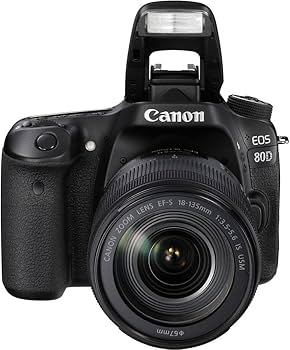 Amazon.com : Canon EOS 80D DSLR Camera with 18-135mm Lens