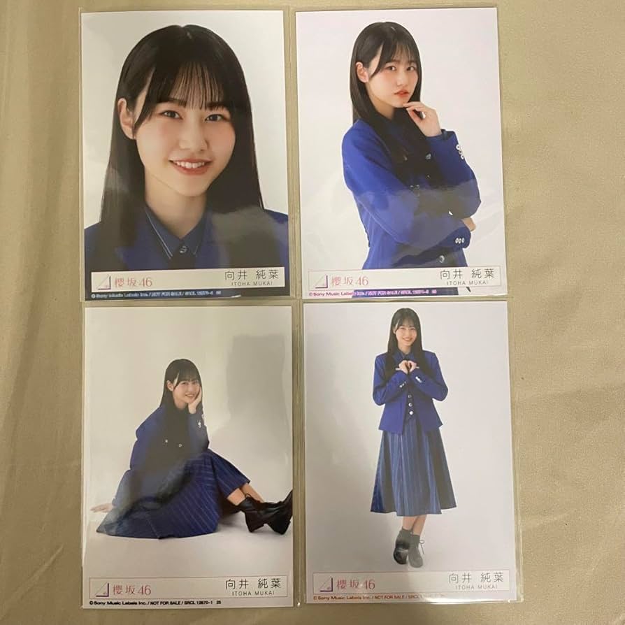 向井純葉 生写真フルコンプセット 最初期から2025/9まで95セット 期間