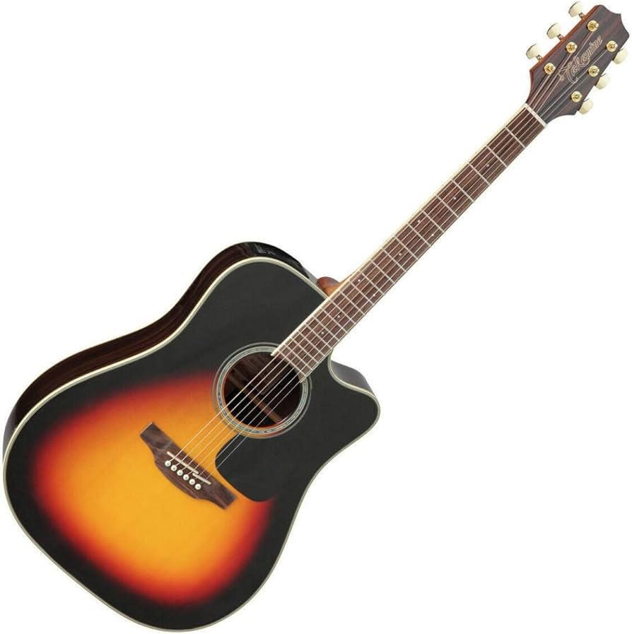 Amazon | Takamine タカミネ G Series Dreadnought Cutaway エレアコ