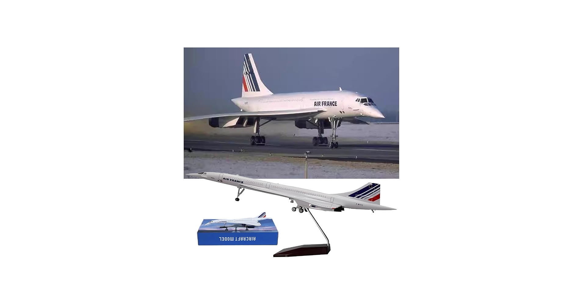 Amazon.co.jp: コンコルド 1:125 スケール 19.7 インチ 模擬完成品