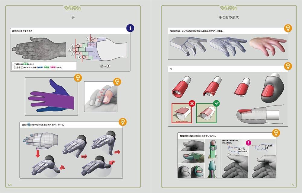 スカルプターのための美術解剖学 -Anatomy For Sculptors日本語版