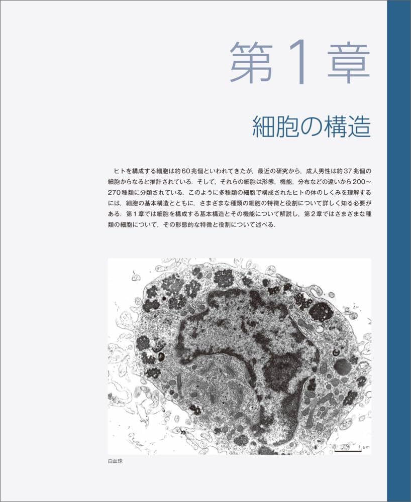 バーチャルスライド 組織学 改訂版 | 駒﨑 伸二 |本 | 通販 | Amazon