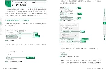 Excelパワーピボット 第2版 7つのステップでデータ集計・分析を