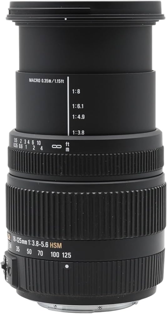 Amazon.co.jp: シグマ 18-125mm F3.8-5.6 DC HSM ソニー用 : 家電＆カメラ