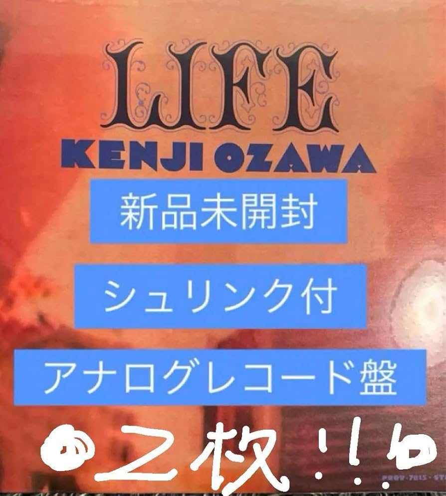 Amazon.co.jp: 2枚セット！小沢健二 Kenji Ozawa LIFE アナログ