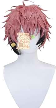 Amazon.co.jp: Vtuber 赤城ウェンコスプレウィッグ、舞台衣装、文化祭