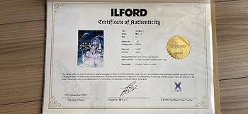 Amazon.co.jp: 藤ちょこ 直筆サイン入り複製原画 光る美少女展3 A4