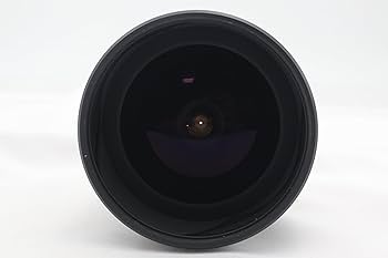 Amazon.com : Sigma 15mm F2.8 EX Diagonal Fisheye Lens for Nikon
