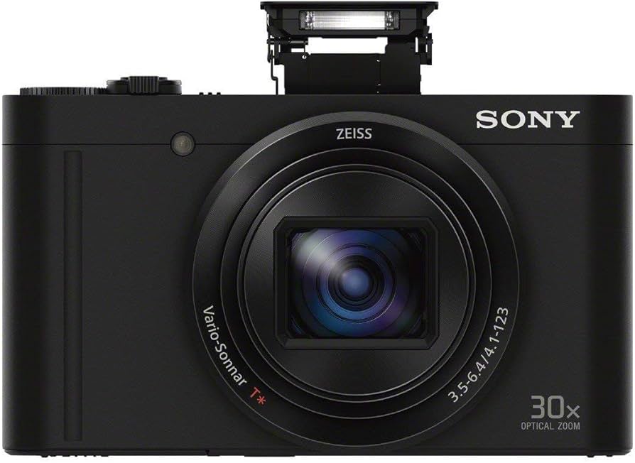 Amazon.com : Sony Cyber-shot DSC-WX500 Digital Camera (Black
