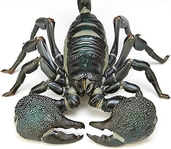 Amazon.co.jp: リボジオ ダイオウサソリ 全長約230mm PVC&ABS製 塗装