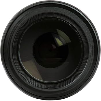 Amazon.com : Tamron AF 70-300mm f/4.0-5.6 SP Di VC USD XLD for