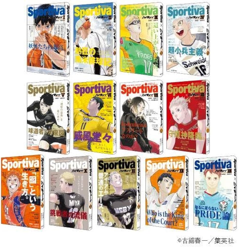 ハイキュー！！ショーセツバン！！ sportivaコラボ表紙 1-13巻セット