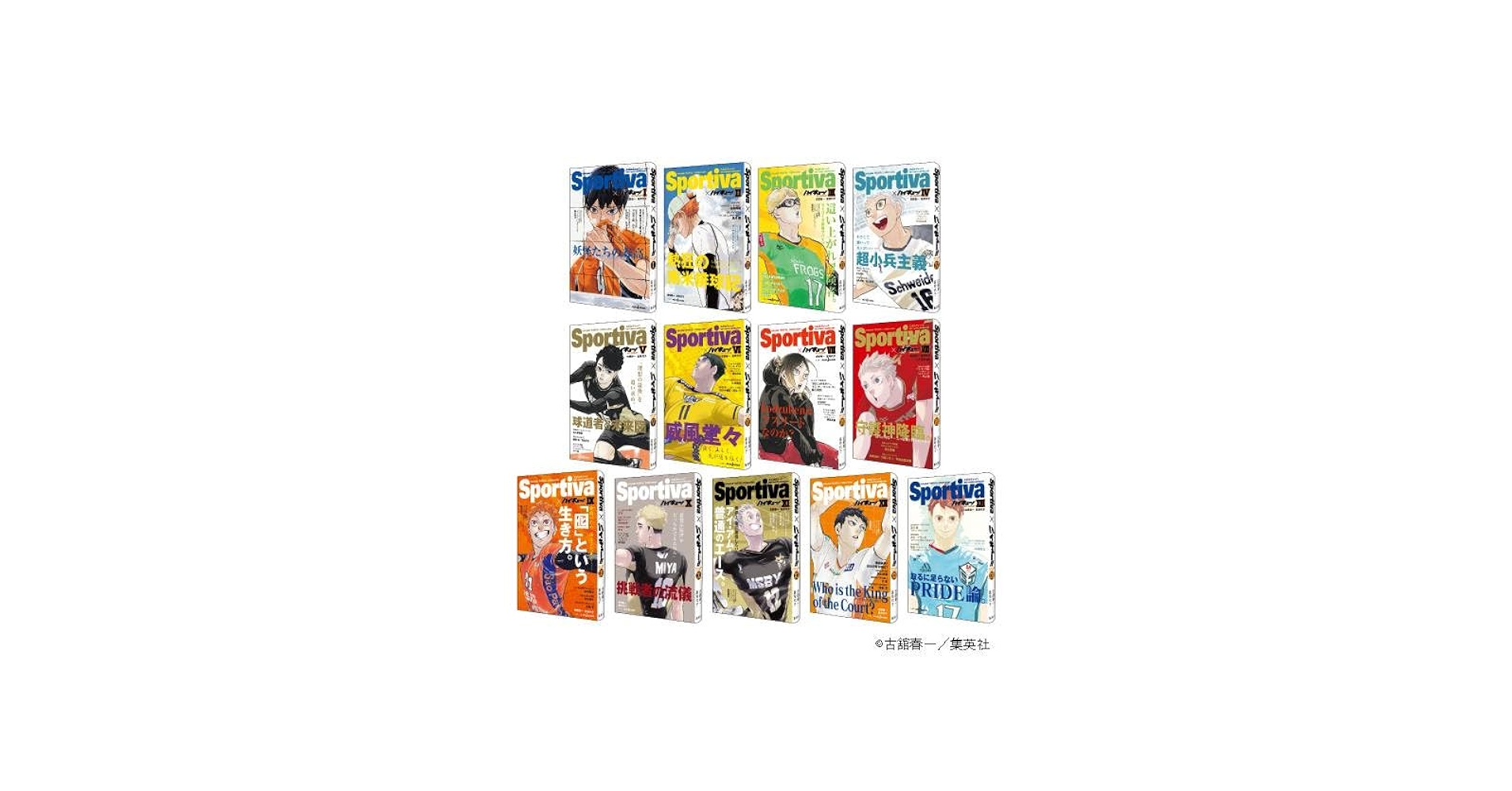 ハイキュー！！ショーセツバン！！ sportivaコラボ表紙 1-13巻セット