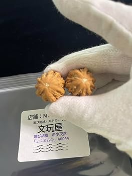 Amazon | A0044文玩屋 遊び胡桃 希少天然「ミニ3ムキ胡桃」「手で遊び