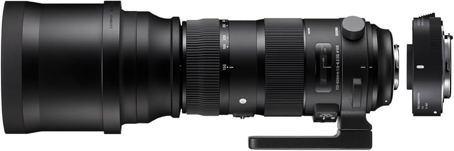 新品】SIGMA 150-600mm F5-6.3 DG ニコンF Nikon Amazon.com : Sigma