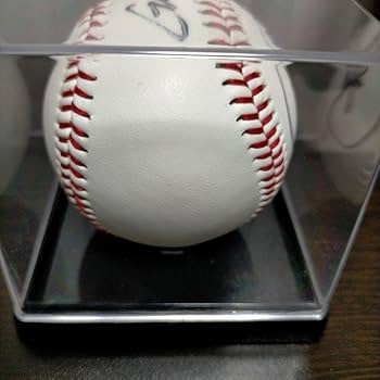 Amazon.co.jp: 読売ジャイアンツ 丸佳浩 選手 直筆サイン ジャイアンツ