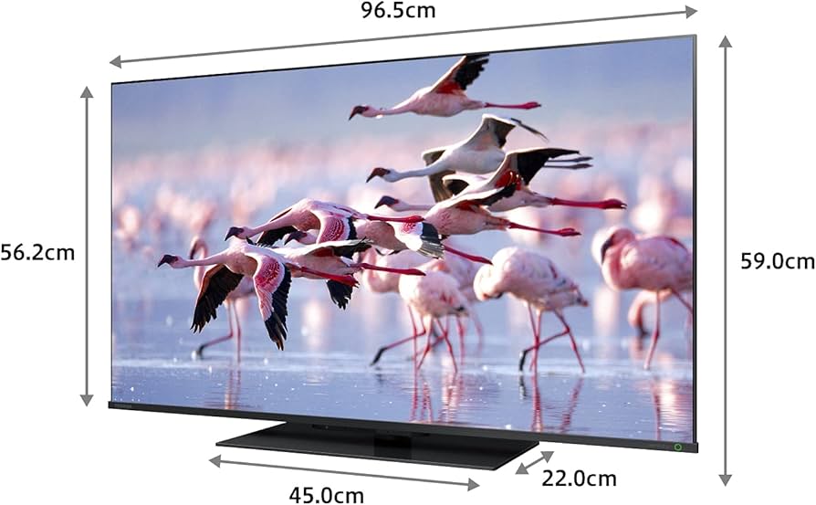 Amazon | レグザ 43V型 液晶テレビ 43Z670K 4Kチューナー内蔵 外付け