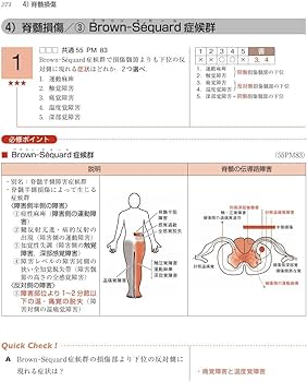 理学療法士・作業療法士国家試験必修ポイント 専門基礎分野 臨床医学