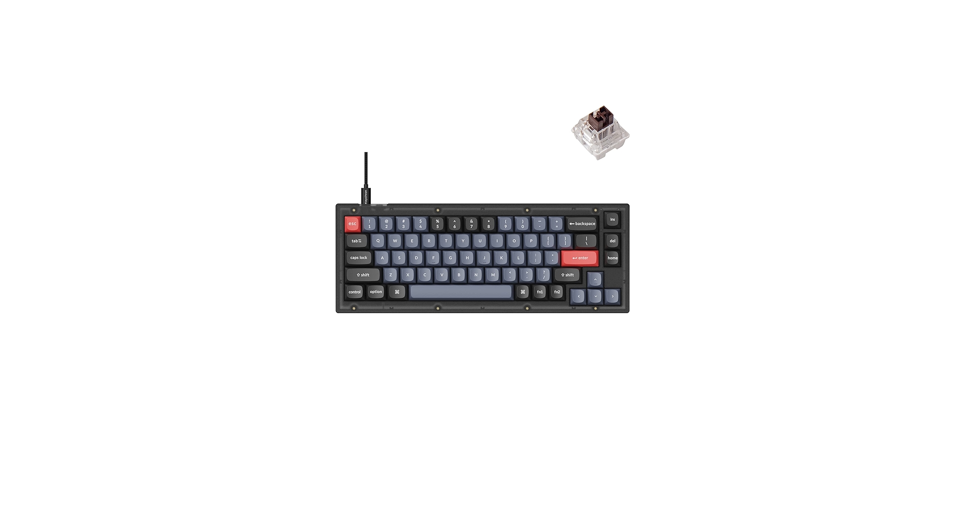 61RKR9QNxKL.jpg_BO30,255,255,