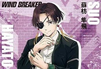 Amazon.co.jp: TVアニメ WIND BREAKER ポストカードブック Season1編