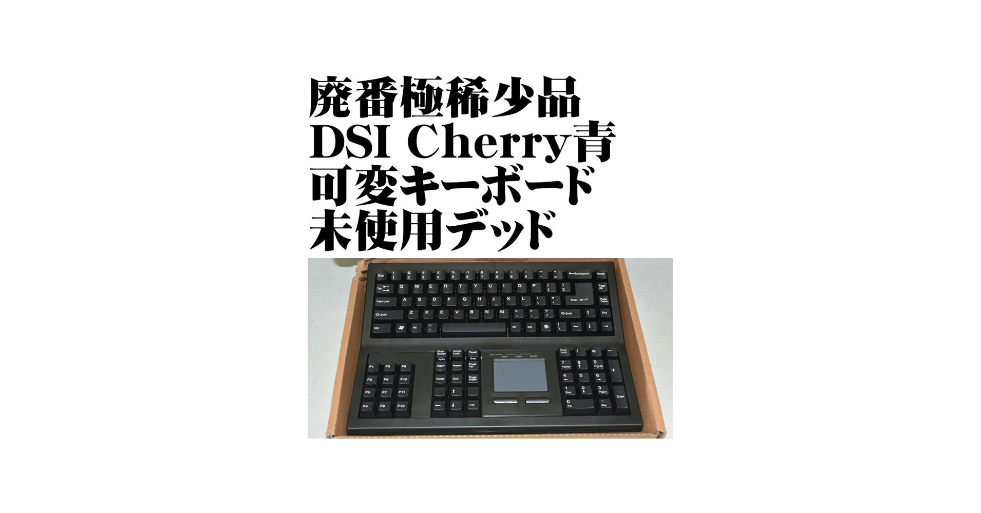 Amazon | 極稀少DSI 可変式 金融 特殊 キーボード KB-8861 青軸 | ノー
