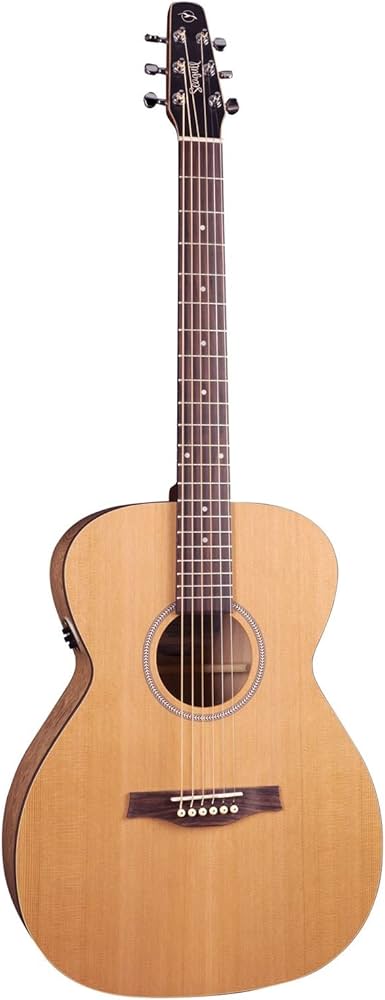 Amazon | 【国内正規品】 Seagull シーガル / アコースティック ギター